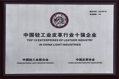 皮革行業十強企業