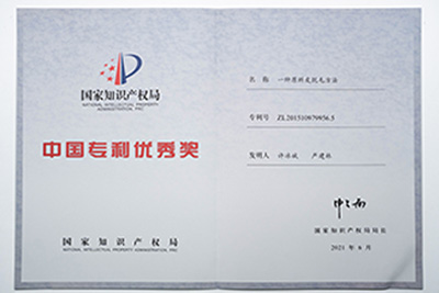 中國專利優秀獎